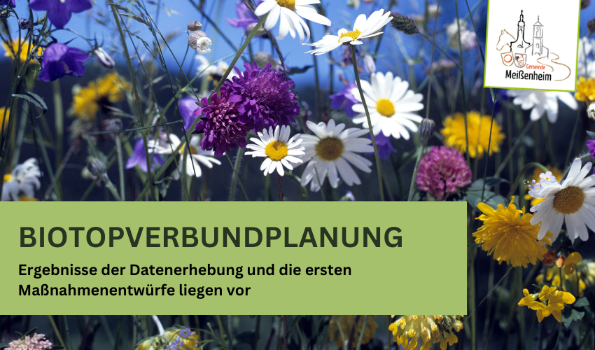 Biotopverbundplanung – Einladung zur Infoveranstaltung am 17.09.2024