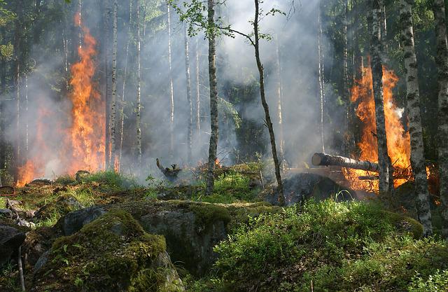 Widerruf der Allgemeinverfügung wegen der Waldbrandgefahr